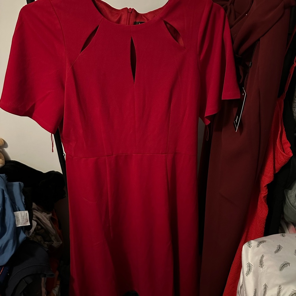 Elegant Red Dress